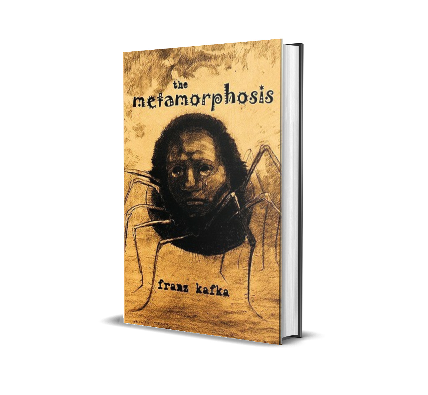 metamorphosis book review